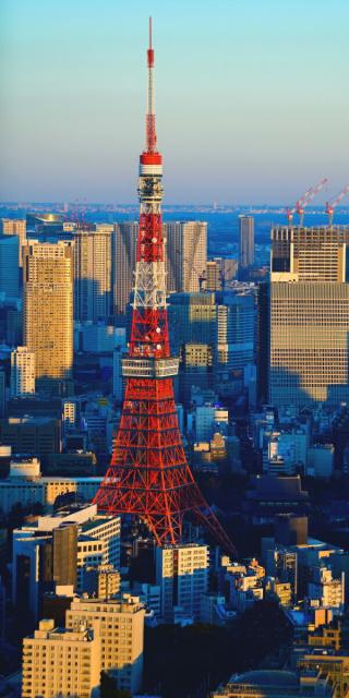 大幅値下 メール便ok 日本製 絵画風 壁紙ポスター 地球の撮り方 東京タワーを一望 六本木ヒルズ展望台 東京シティビュー からの夕暮れ夜景 日本の絶景 C Zjp 10 100 安心保証 Dududustore Com Br