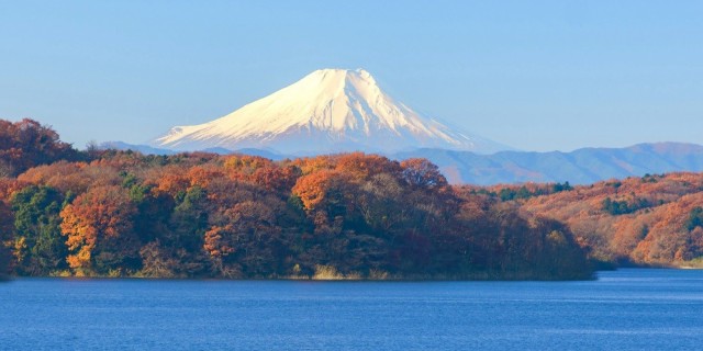 進化版 絵画風 壁紙ポスター 秋富士 紅葉の富士山 狭山湖 もみじ パノラマ キャラクロ Fjs 103s1 1152mm 576mm 信頼 Arnabmobility Com