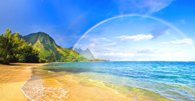 最高かつ最も包括的な壁紙 虹 ハワイ 花の画像