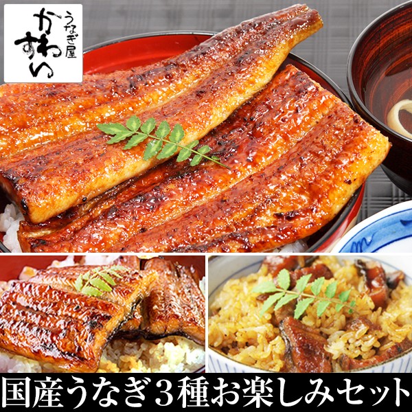 高知インター店 国産 うなぎ蒲焼き 3種お楽しみセット 送料無料 タレ付き 山椒別売り 国産うなぎ 蒲焼き 国産 うなぎ 蒲焼 特大 長焼き カット うなぎ カ Arnabmobility Com