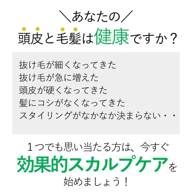 Fuces フーチェ Ar シャンプー 300ml お試し 男女兼用 育毛剤 育毛 薄毛 抜け毛 産後の抜け毛 生薬 T ブレイスの通販はau Pay マーケット アメリカンツールズ Au Pay マーケット店 商品ロットナンバー 410599226
