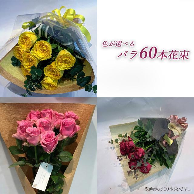激安ブランド 色が選べる バラ60本の花束 レッド イエロー ピンク 薔薇 季節の 激安ブランド 色が選べる バラ60本の花束 レッド イエロー ピンク 薔薇 季節の