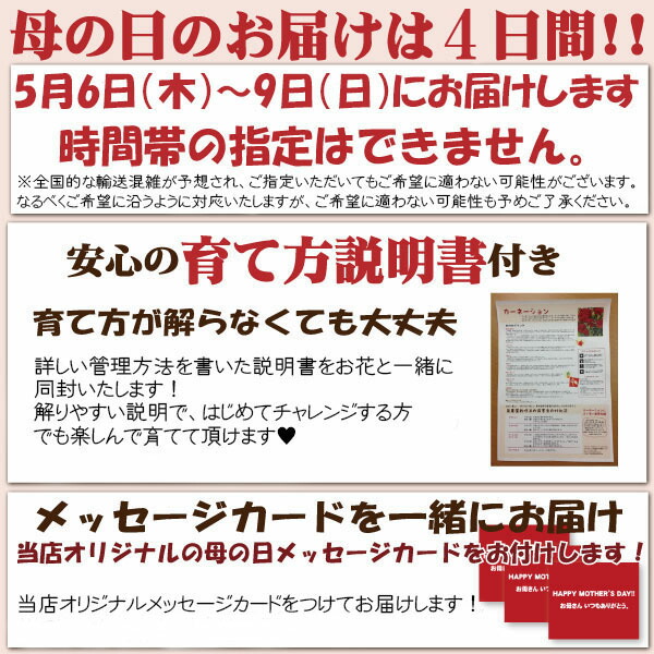 母の月 銀座の紫陽花 アジサイ ディープパープルｘコットン 2色 5号鉢 ギフト 送料無料 沖縄 1000円の通販はau Pay マーケット 花とお酒とギフト銀座東京フラワー 商品ロットナンバー
