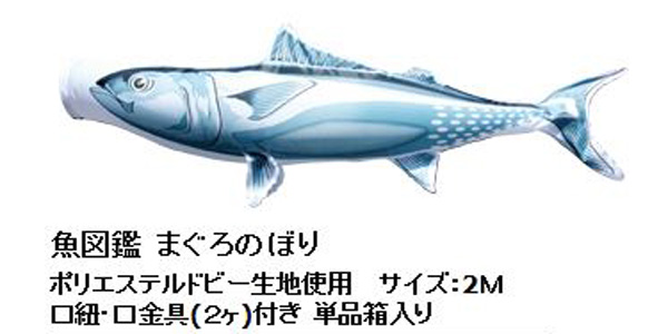 速達メール便 まぐろのぼり 魚図鑑 正規店仕入れの Ballonsdeprestige Fr