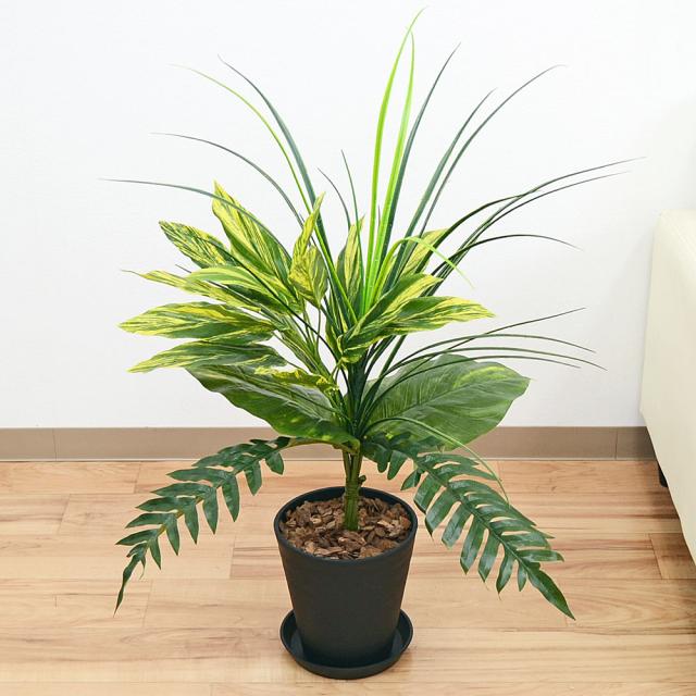 海外輸入 人工観葉植物 寄せ植え 造花 フェイクグリーン 6号 ブラックセラート 光触媒 おしゃれ お祝い 送料無料 公式限定新作 送料無料 Arnabmobility Com