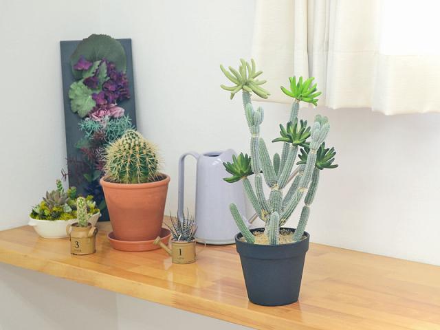 総合ランキング1位 人工観葉植物 サボテン 多肉植物 カクタス ゴーラム 造花 フェイク おしゃれ お祝い 送料無料 海外正規品 Arnabmobility Com