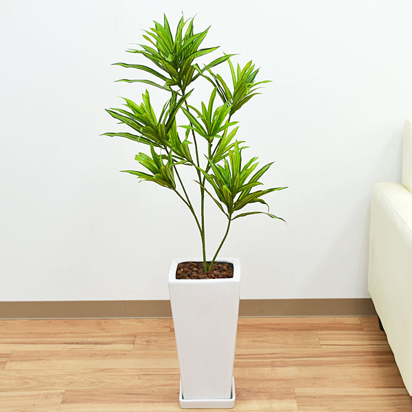 人気の 送料無料 人工観葉植物 ドラセナ ソングオブジャマイカ スクエア陶器鉢 光触媒加工 造花 インテリア フェイク 人気 新色登場 Carlavista Com