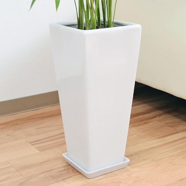プレゼント 観葉植物 7号 ホワイト ブラックの通販はau Pay マーケット フラワーコーポレーション 商品ロットナンバー アレカヤシ ロングスクエア陶器鉢植え おしゃれ 大型 お祝い される
