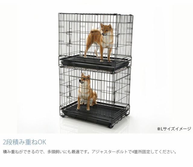 信頼 Richell リッチェル プロフェッショナルペットケージ M 犬用 ケージ 丈夫 頑丈 超小型犬 小型犬 ラッピング無料 返品も保証 Www Iacymperu Org