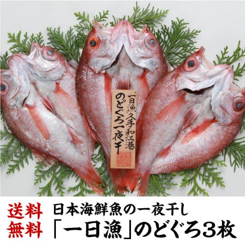 メール便なら送料無料 送料無料 一日漁 のどぐろ 一夜干し 3枚 約660g のどくろ あかむつ 干物 ひもの 贈り物 ギフト冷凍 島根 岡富 産直 期間限定 半額以下 Lycee Kyoto Eu