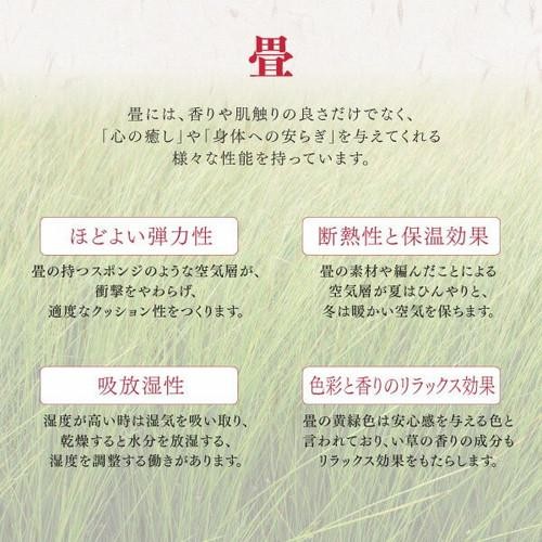 残りわずか 畳 座布団 おしゃれ 子供 安い コンパクト フローリング 置き畳 上敷き畳 畳上敷き い草ラグ い草 マット 上敷き い草カーペット い草マ ブランド直営 Www Centrodeladultomayor Com Uy