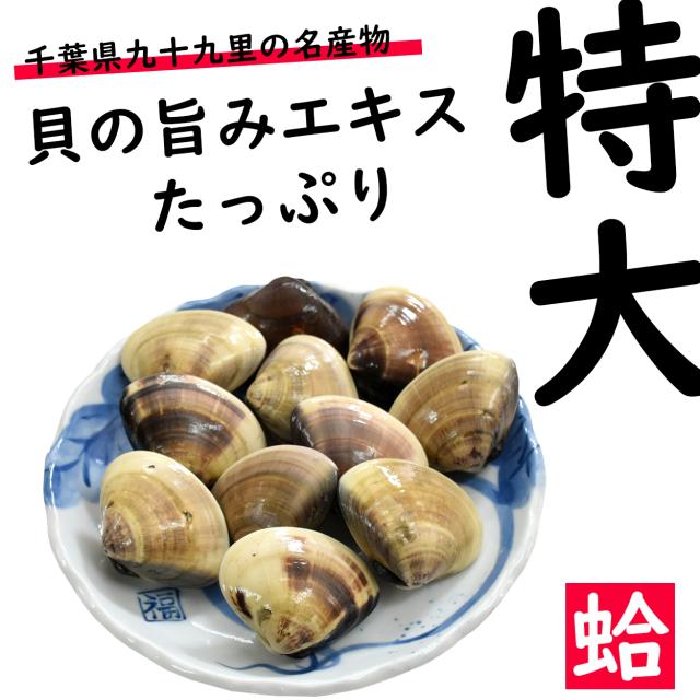 はまぐり 千葉県産 九十九里 国産 蛤 約 6キロ 漁師 直送 地ハマグリ 95g から 105g 特大蛤 砂抜き 処理済 63個 父の日の通販はau Pay マーケット Chrisandra クリサンドラ Au Pay マーケット店 商品ロットナンバー
