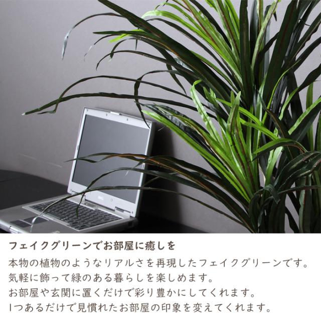 高速配送 フェイクグリーン 観葉植物 おしゃれ コンシンネ 大型 148cm 人工観葉植物 カフェ インテリア ナチュラル Fgb 2692 New限定品 Www Centrodeladultomayor Com Uy