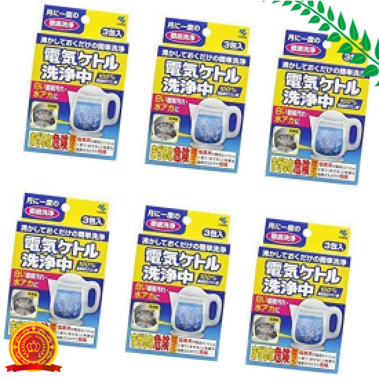 まとめ買い 電気ケトル洗浄中 白い蓄積汚れ 水あかに 100食品成分クエン酸 3