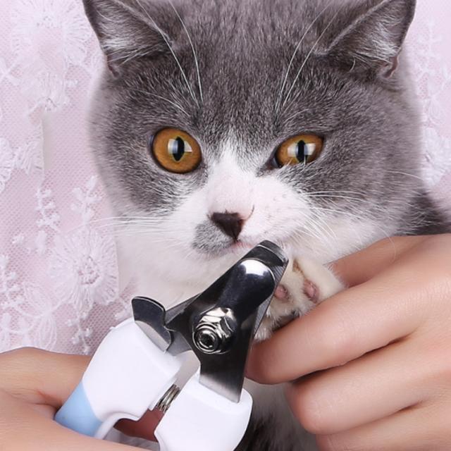 犬用 爪切り 猫用 爪切り ペット用 爪切り ネイルカッター ネイル