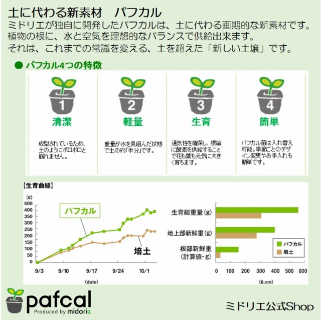 土を使わない壁掛け観葉植物 ミドリエデザイン Frame３点セット10off