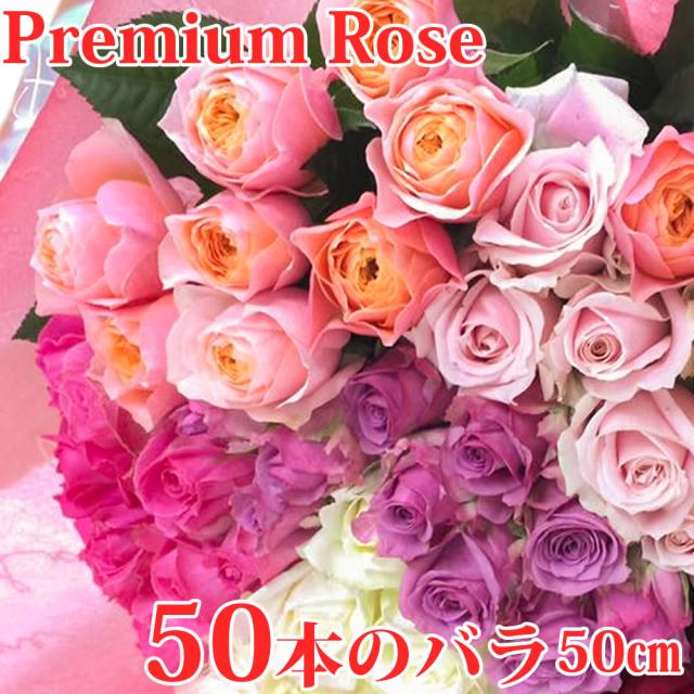 お祝いの50本のバラの花束 おまかせ 50cm 50本 お祝い用ローズギフト 無料ラッピング 産地直送 宅配便 徳島県海陽町産 薔薇 生花 切りのネットショッピングは通販サイトau Pay マーケット 送料無料商品やセール商品 レビュー 評判 も多数掲載中