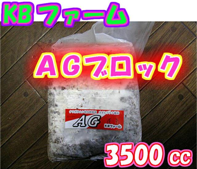 Kbファーム オオヒラタケ菌床 クワガタムシ幼虫飼育用菌床 菌糸 Agブロック 3500cc ブナ粗め の通販はau Wowma ワウマ ペットグッズ りりあ Au Wowma 店 商品ロットナンバー 429583573