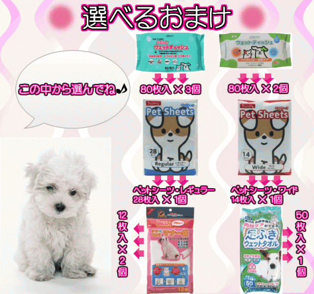 送料無料 選べるおまけ付 セレクトバランス アダルト チキン 1才以上の成犬用 小粒 ７ｋｇの通販はau Wowma ワウマ ペットグッズ りりあ Au Wowma 店 商品ロットナンバー