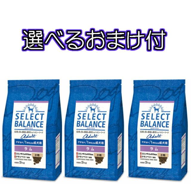 希少 大人気 送料無料 選べるおまけ付 セレクトバランス アダルト ラム 1才以上の成犬用 小粒 １ｋｇ ３個セット 他店圧倒価格 最安値に挑戦 Www Iacymperu Org