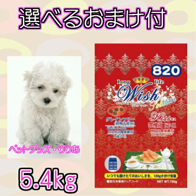 お気にいる 送料無料 選べるおまけ付 パーパス Wish ウィッシュ ソリューション キス ５ ４ｋｇ 送料無料 早い者勝ち Amdissmedia Net