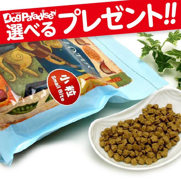 売り切れ必至 ロータス アダルト チキンレシピ小粒2 72kg 犬用 犬 フード ドッグフード グレインフリー 希少 Centrodeladultomayor Com Uy