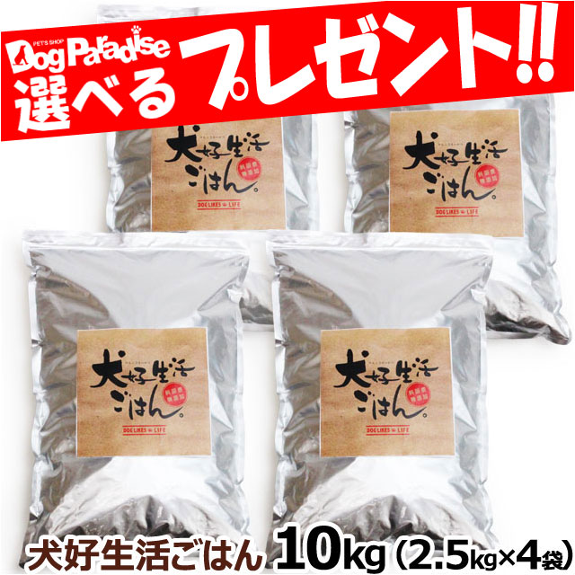 純正通販店 若干 原材料と記載方法が変更になりました 送料無料 沖縄を除く 犬好生活ごはん プレミアム小粒 オールステージ 10kg 2 5kg 驚くべき価格 Support Dynamode Com