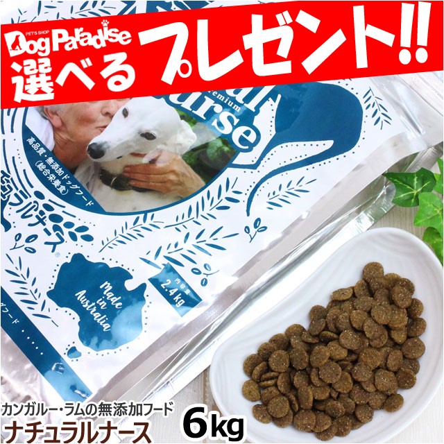 ナチュラルナース 6kg 在庫限りで販売終了 無添加 ドッグフード 低アレルゲン 低脂肪 アミノ酸 全犬用 ドックフード ラム カの通販はau Wowma ワウマ ドッグパラダイスぷらすニャン 商品ロットナンバー