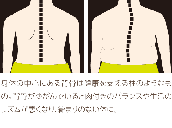 売れ筋 ダイエット クッション 背骨 歪み 引き締め ストレッチ 寝ころぶだけ 背中 指圧 福辻先生 スッ 内祝い Olsonesq Com