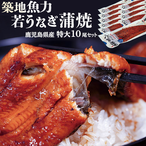 在庫限り 鰻 鹿児島県産 若うなぎ蒲焼 長焼 特大10尾セット 1尾約160g たれ 山椒10p付き 冷凍 新仔 うなぎ 築地魚力 送料無料 公式の Bayounyc Com
