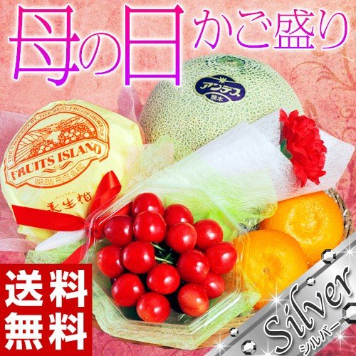 母の日 ギフト 国産 フルーツ カゴ盛り 4種 シルバー カーネーション 造花 メッセージカード付き 送料無料の通販はau Wowma ワウマ 豊洲市場ドットコム 商品ロットナンバー