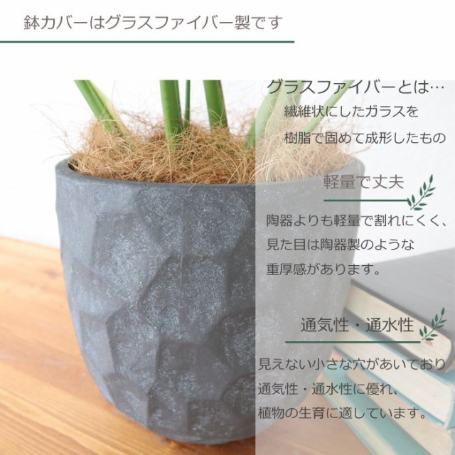 全日本送料無料 観葉植物 モンステラ 6号鉢 ジオメトリーラウンドブラック鉢 ヤシ繊維 受け皿付 Gf3286 引っ越し祝い 新築祝い お祝い 開店祝い 開業 期間限定セール Www Endocenter Com Ua