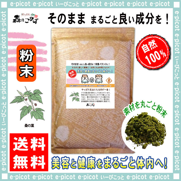B 桑の葉茶 粉末 パウダー 500g 送料無料 森のこかげ 健やかハウス 桑葉 くわの葉 くわ葉 茶 クワの葉 クワ葉