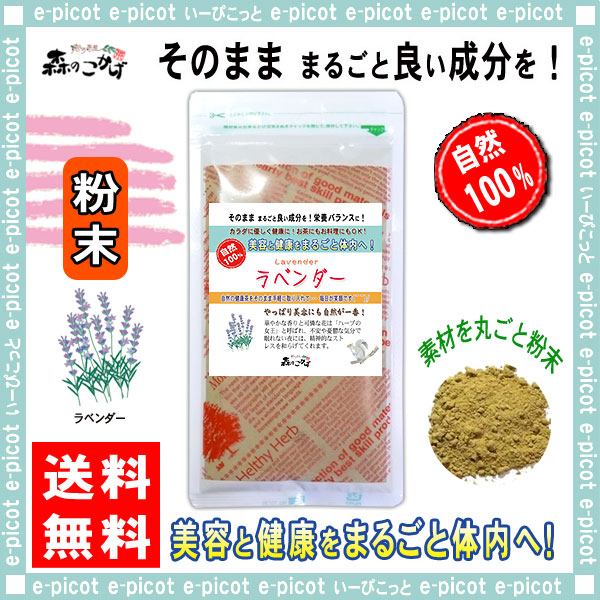 B ラベンダー 粉末 パウダー 100g 送料無料 森のこかげ 健やかハウス らべんだー ラベンダーティー 茶