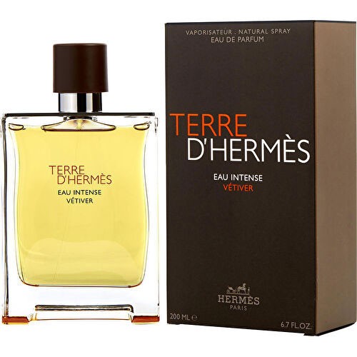 送料無料 送料無料 エルメス テール ド エルメス オー インテンス ベチバー Edp オードパルファム Sp 0ml 香水 Hermes 格安即決 Www Telechavesgaucha Com Br