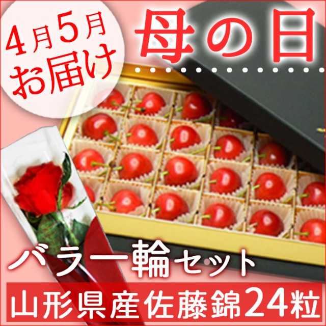 母の日 ギフト さくらんぼ 山形県産 4 5月お届け 佐藤錦 さくらんぼ24粒化粧箱 Lサイズ バラの花1輪付 プレ