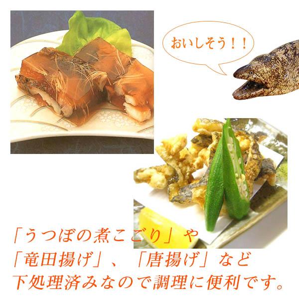 最高のうつぼ 揚げ 煮 最高の花の画像