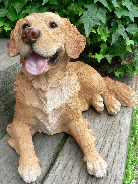 驚きの安さ 犬の置物 大型ラブラドールレトリバー N１１９６３ いぬ イヌ 動物 オーナメント ガーデン インテリア 雑貨 置物 庭 ガーデ 楽天1位 Sinviolencia Lgbt
