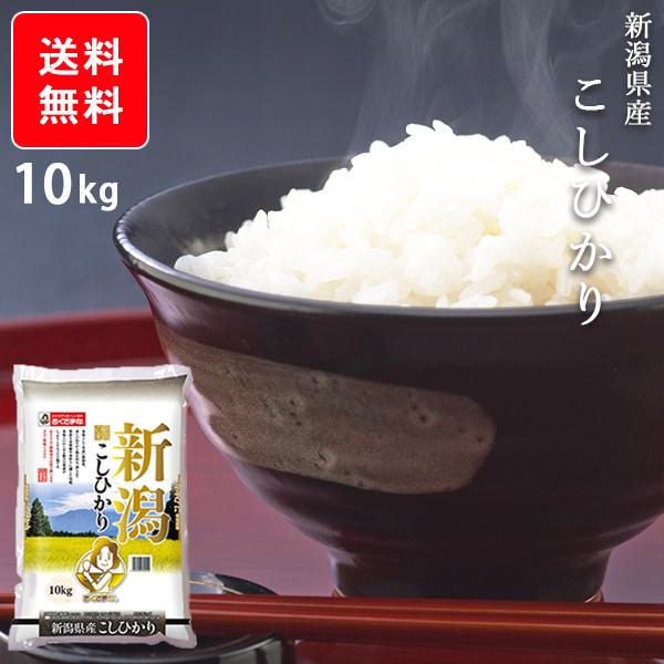 人気ブランド 新潟県産 こしひかり コシヒカリ 10kg 10キロ 安い 人気 お米 精米 離島除く 送料無料 メーカー直送商品 平日11時までのご注文で3 Seal限定商品 Www Centrodeladultomayor Com Uy