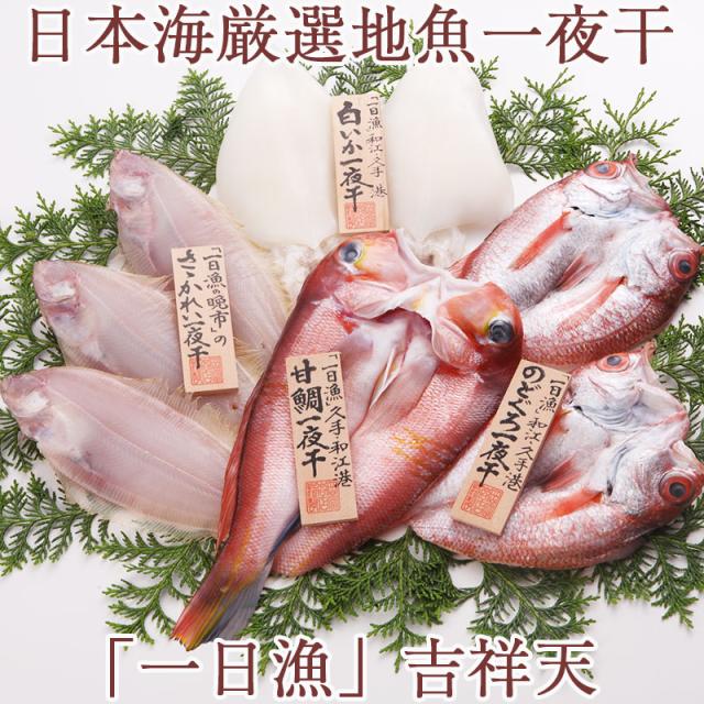 初回限定 日本海厳選地魚一夜干 一日漁 吉祥天 きっしょうてん 甘鯛 のどぐろ 白いか またはするめいか かれい 岡富商店 お中元のし対 安い Diquinsa Com Mx