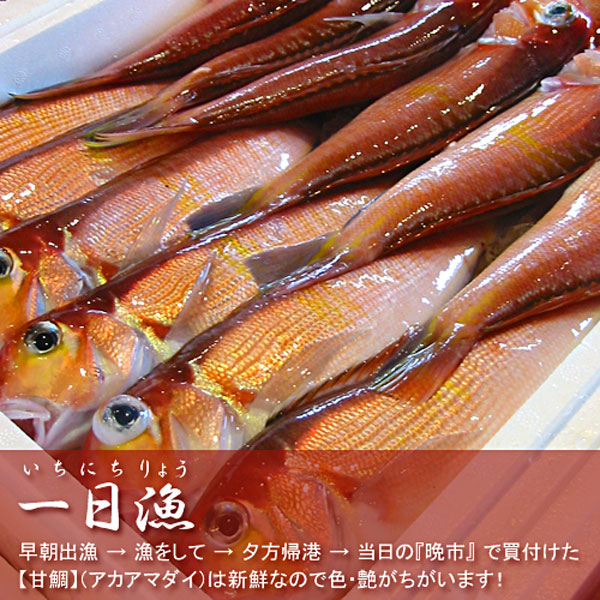 初回限定 日本海厳選地魚一夜干 一日漁 吉祥天 きっしょうてん 甘鯛 のどぐろ 白いか またはするめいか かれい 岡富商店 お中元のし対 安い Diquinsa Com Mx