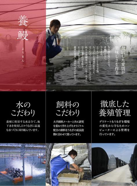 美しい 九州産うなぎ蒲焼 3尾 180g 3 計540g 鰻楽 のし対応可 のし対応可 新版 Olsonesq Com