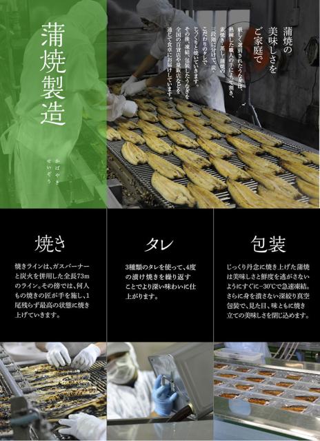 美しい 九州産うなぎ蒲焼 3尾 180g 3 計540g 鰻楽 のし対応可 のし対応可 新版 Olsonesq Com