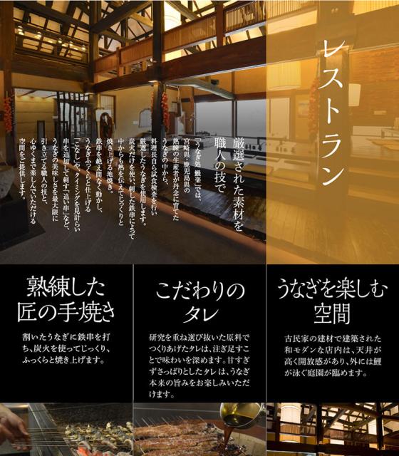 美しい 九州産うなぎ蒲焼 3尾 180g 3 計540g 鰻楽 のし対応可 のし対応可 新版 Olsonesq Com