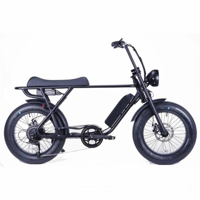 最新品安い 自転車 BRONX BUGGY-20 マットブラック e-BIKE 電動