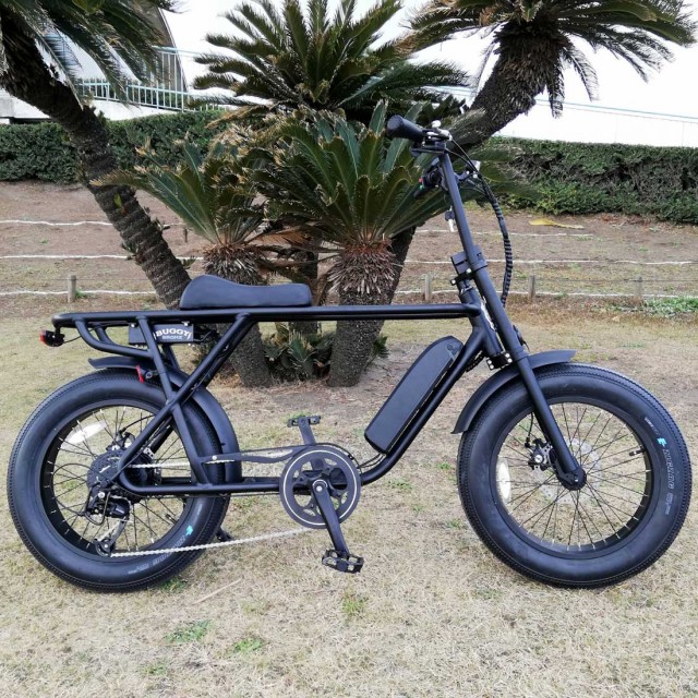 最新品安い 自転車 BRONX BUGGY-20 マットブラック e-BIKE 電動