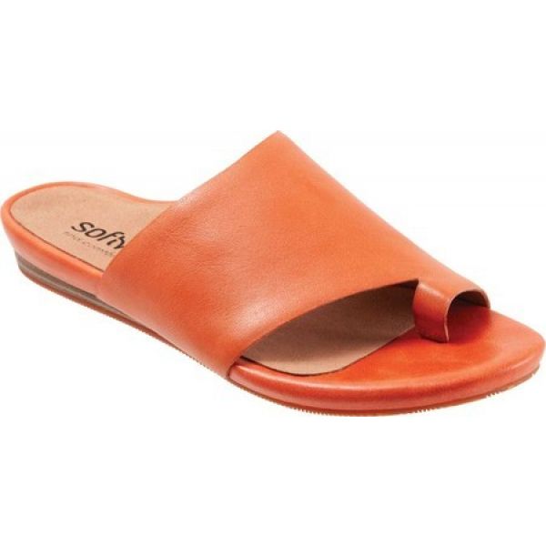 売り切れ必至! ソフトウォーク SoftWalk SoftWalk レディース レディース Sandal サンダル・ミュール シューズ・靴 Corsica Toe Loop Sandal Coral, つや髪美肌研究SHOP:8709364c --- zafh-spantec.de 売り切れ必至! ソフトウォーク SoftWalk SoftWalk レディース レディース Sandal サンダル・ミュール シューズ・靴 Corsica Toe Loop Sandal Coral, つや髪美肌研究SHOP:8709364c --- zafh-spantec.de