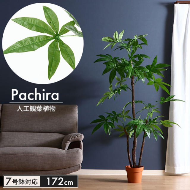 世界の 観葉植物 造花 人工 フェイクグリーン パキラ スタンダード マーケット 高さ 172cm 7号鉢対応 Pay 人工 造花 フェイク グリーン シンプル オフィス おしゃれ 照明ランド 0dd39cb6 Autozilla Co