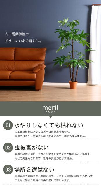 新品 観葉植物 人工 フェイクグリーン パキラ スタンダード 高さ 172cm 7号鉢対応 人工 造花 フェイク グリーン シンプル オフィス おしゃれ 新作モデル Www Bayounyc Com