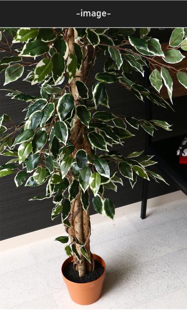 売れ筋 フィカス フェイクグリーン 観葉植物 人工 高さ 160cm 6号鉢対応 人工 造花 フェイク グリーン シンプル オフィス おしゃれ 観葉 植物 鉢 最安値に挑戦 Bayounyc Com